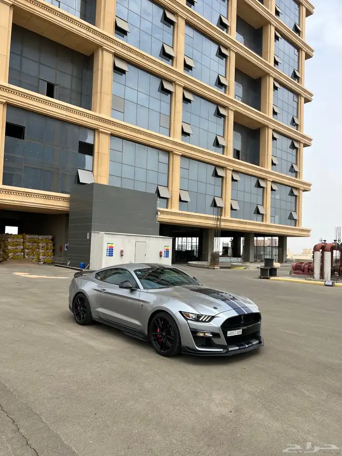 موستنج شلبي 2021 عالضمان 1