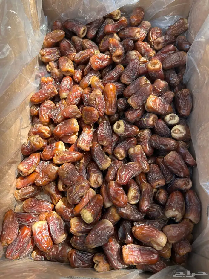 برني وكعبمو ملكي فاخر 3