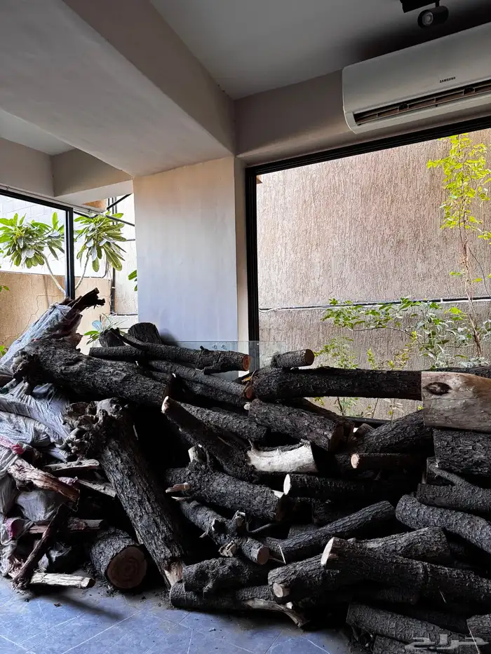 حطب اشجار جذوع حطب قرض افريقي مستورد 1