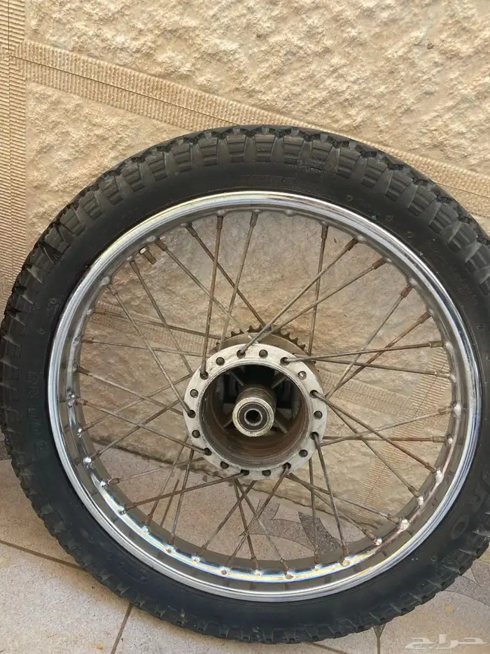 جنوط دباب مهدي طرام 1