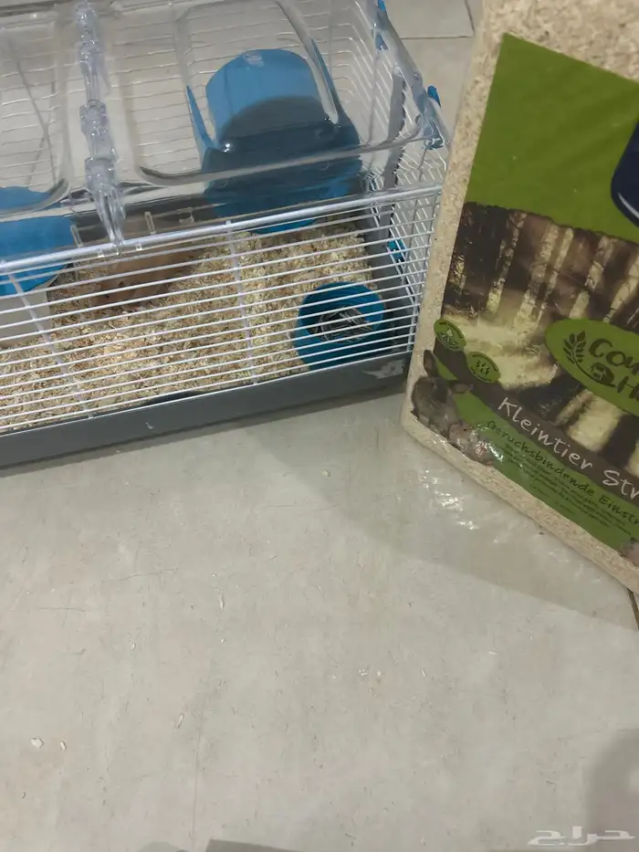 هامستر للبيع أنثى العمر شهرين (160) مع القفص و نشارة الخشب 2