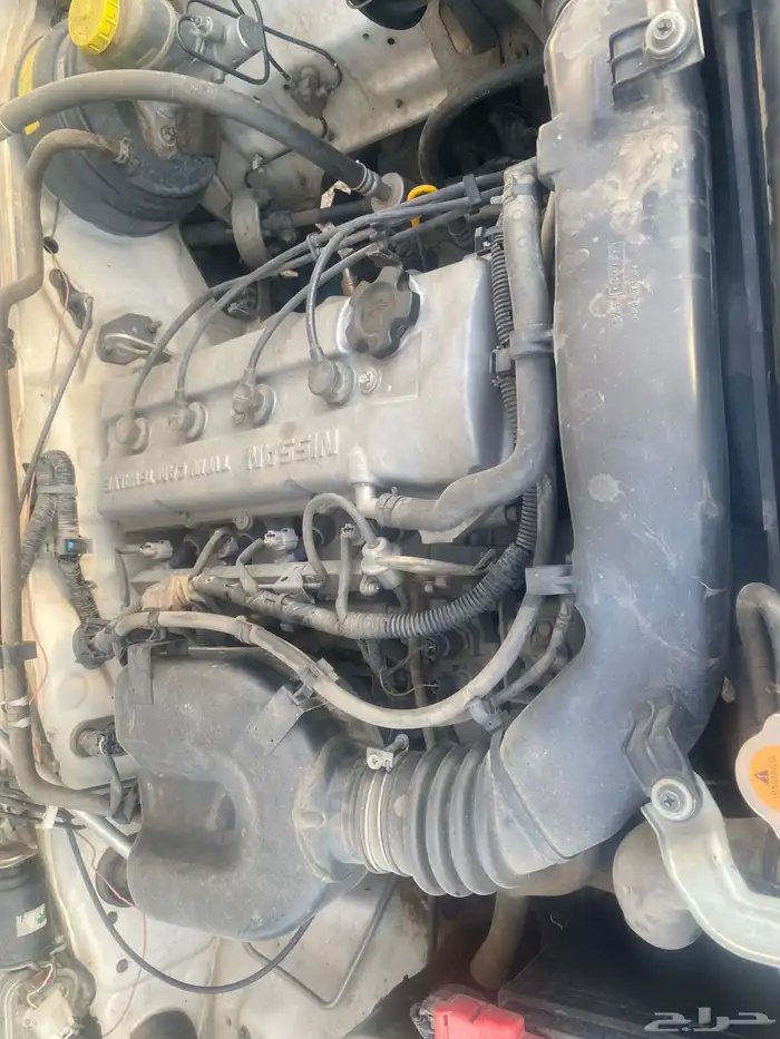 داسن نضيف عشره عداد 229 5