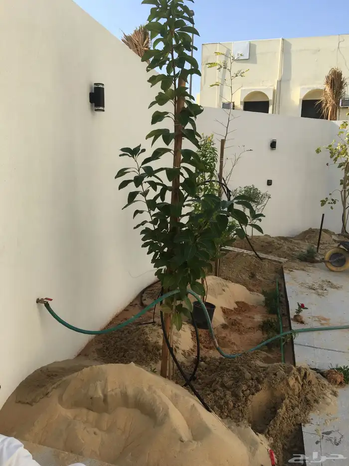 تنسيق الحدائق المنزلية 20