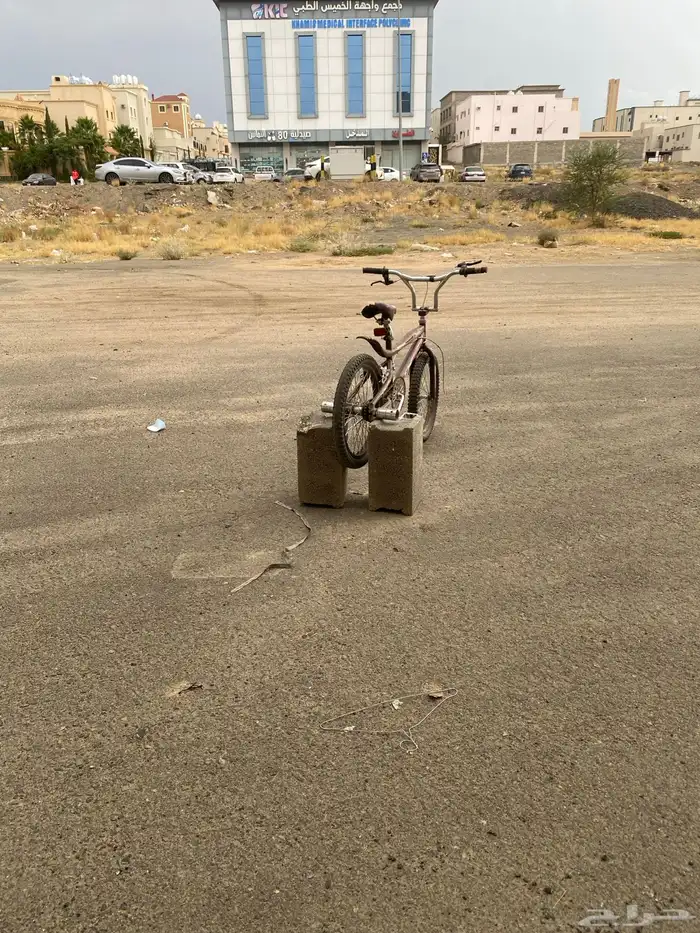 سيكل كوبرا وكالة 11