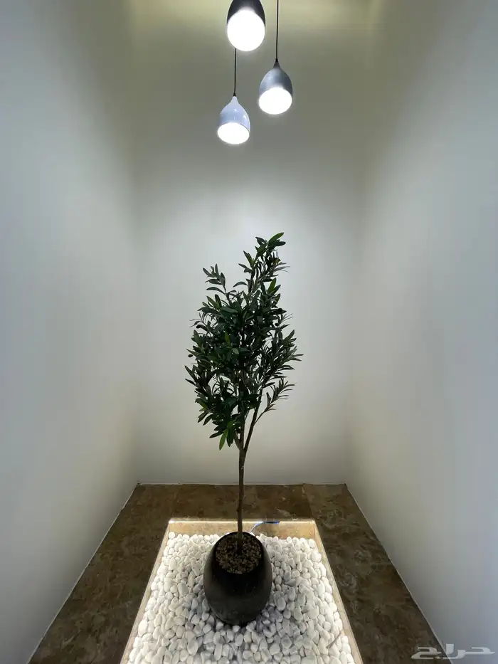 للبيع شقق ارضيه وعلويه بمداخل مستقله من 600 الف ح الراقى 5