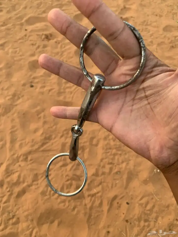شكيمه خيل 2