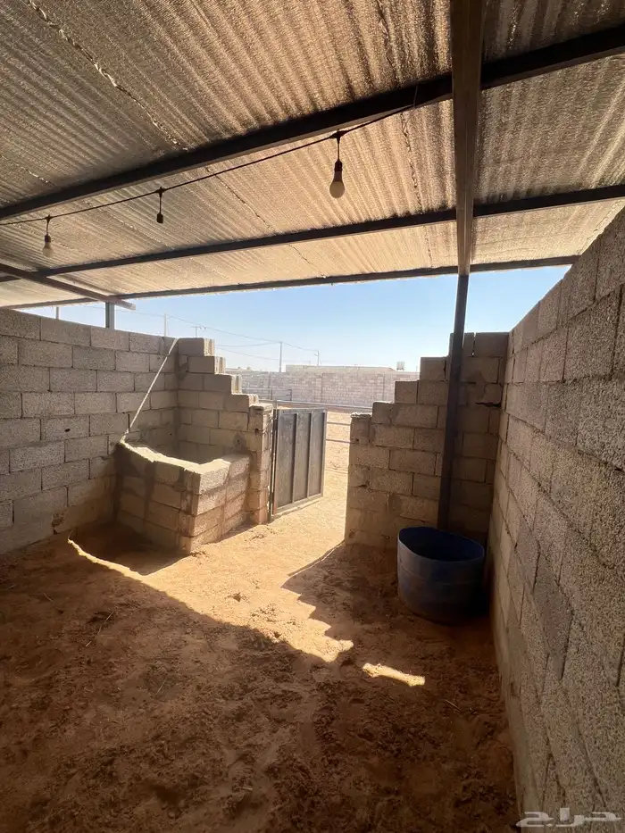مربط اسطبل النجايب إيواء الخيل شمال الرياض 4