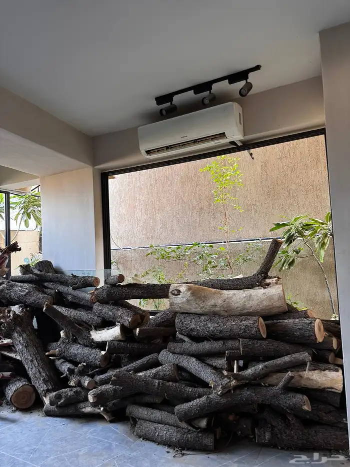 حطب اشجار جذوع حطب قرض افريقي مستورد 0