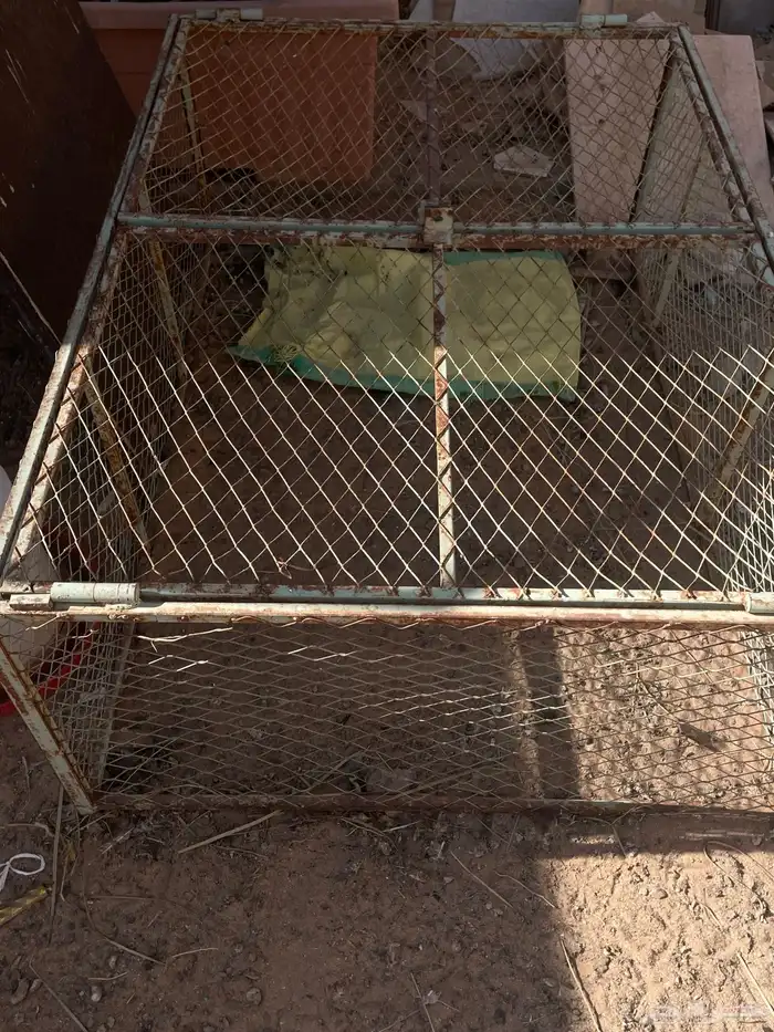 للبيع شبك دجاج 0