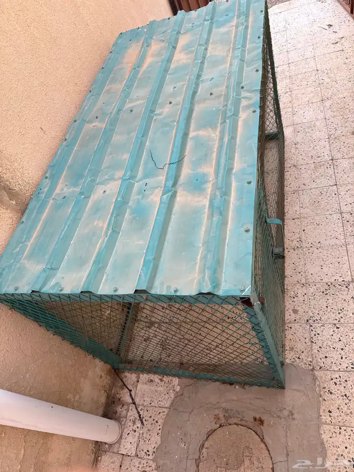 شبك حمام ودجاج 5
