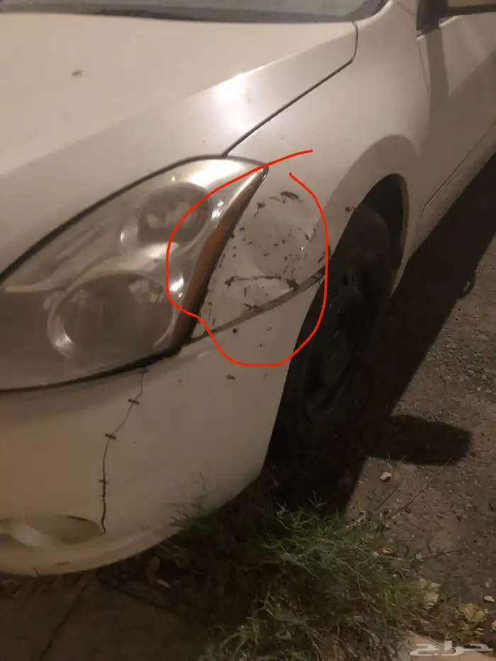 التيما 2010 10