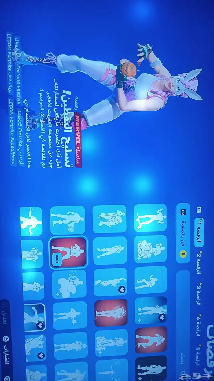 حساب فورت عرقق 18
