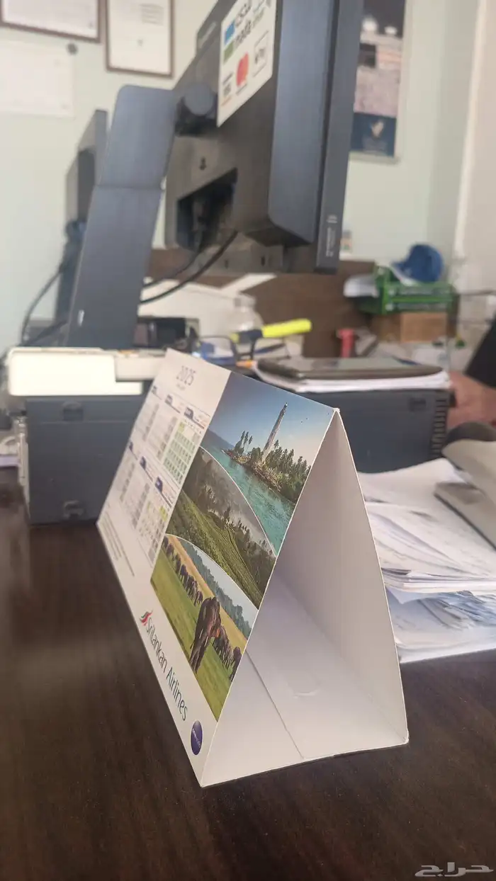 نبات ستار  تفصيل مساند مجلس   نب وائ فائي ستار  تفصيل 5