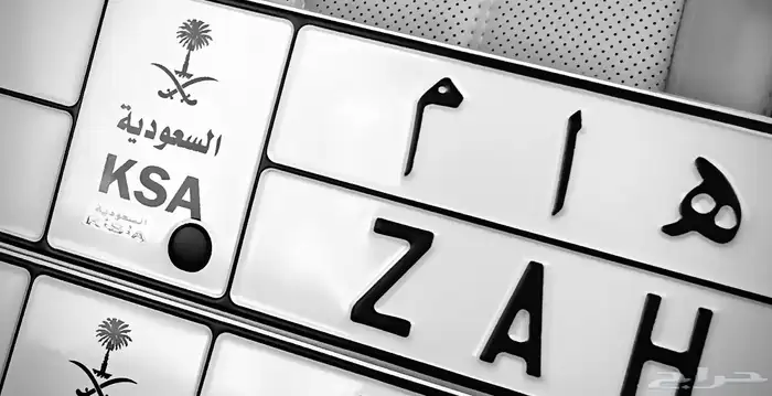 لوحة مميزة فخمة 3