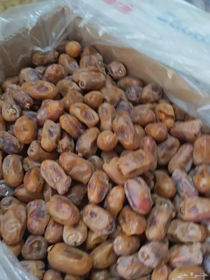 تمر خلاص للبيع في الخرج حبه فاخر 5