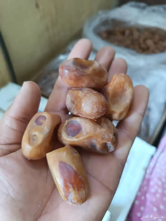 تمر خلاص للبيع في الخرج حبه فاخر 3