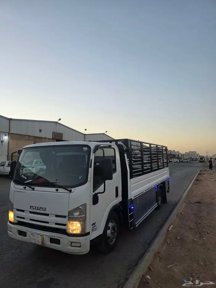 دينا ايسوزو للإيجار مديل 2018 1