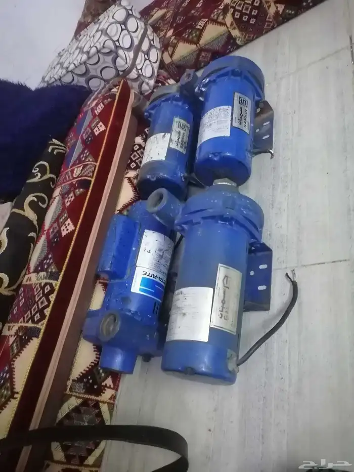 دينمو سمنان أمريكي 7