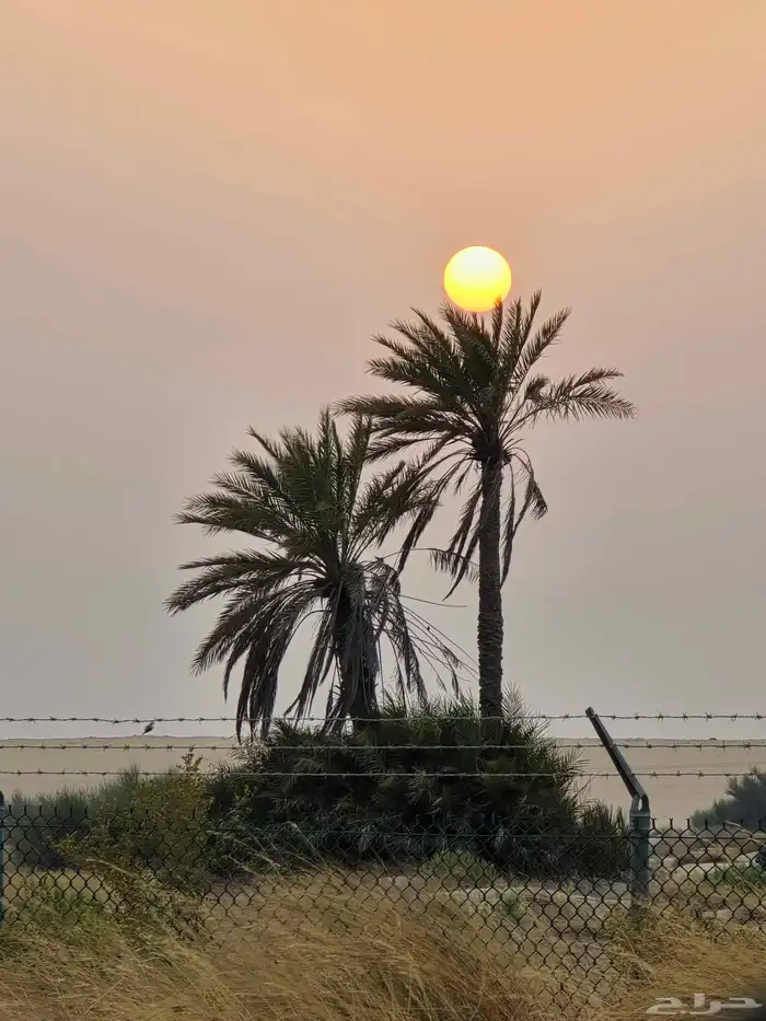 كاميرا رقمية باور شوت SX70 6