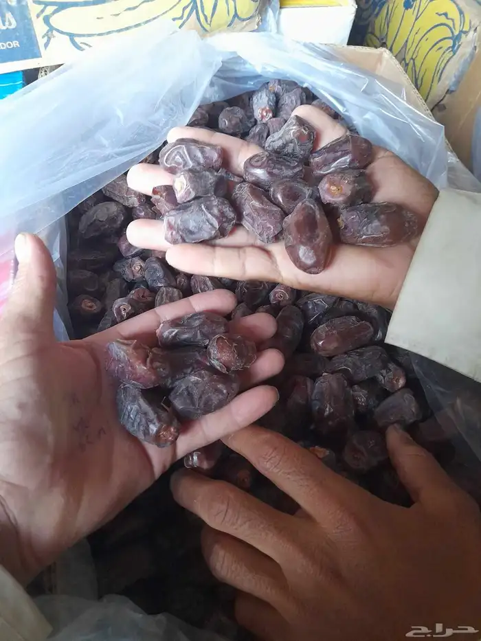 يوجد تمر خظري 1600 كرتون 0