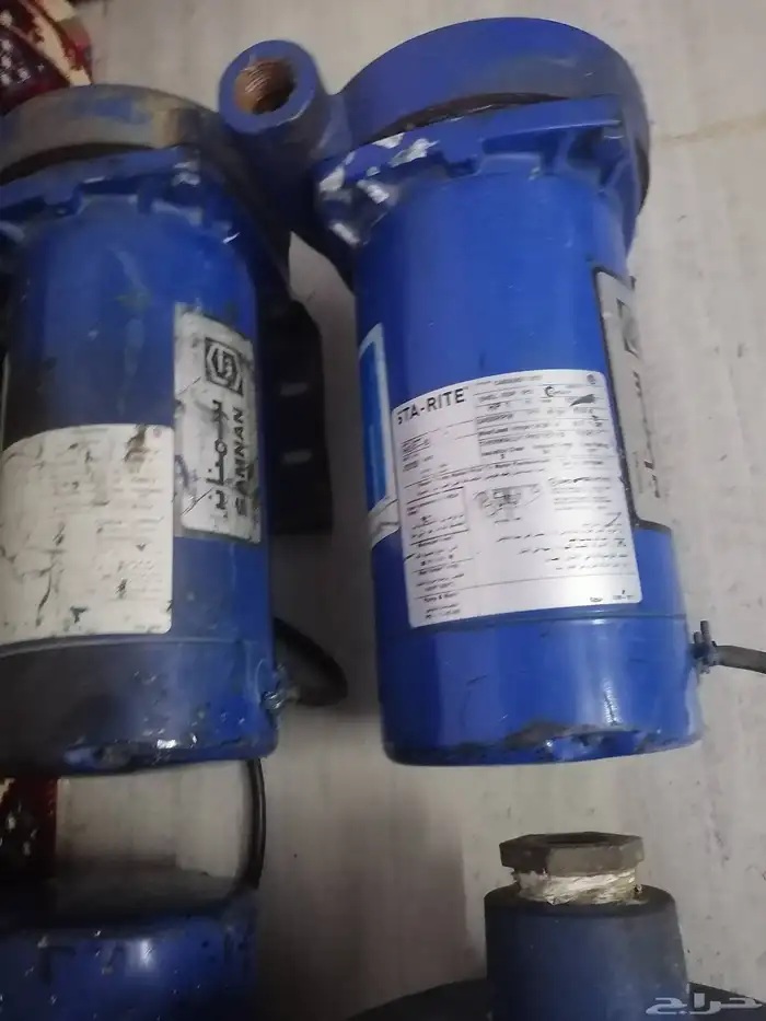 دينمو سمنان أمريكي 8