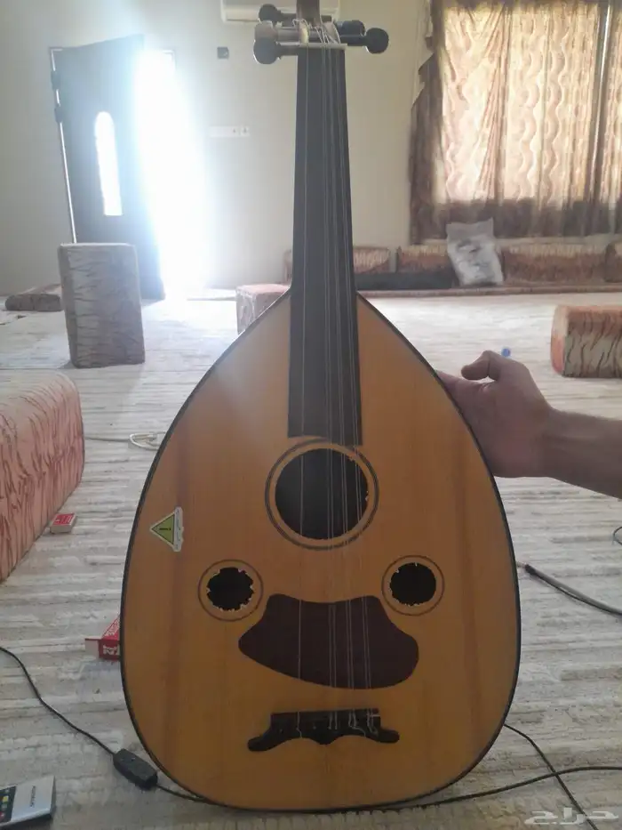 عود للبيع 0