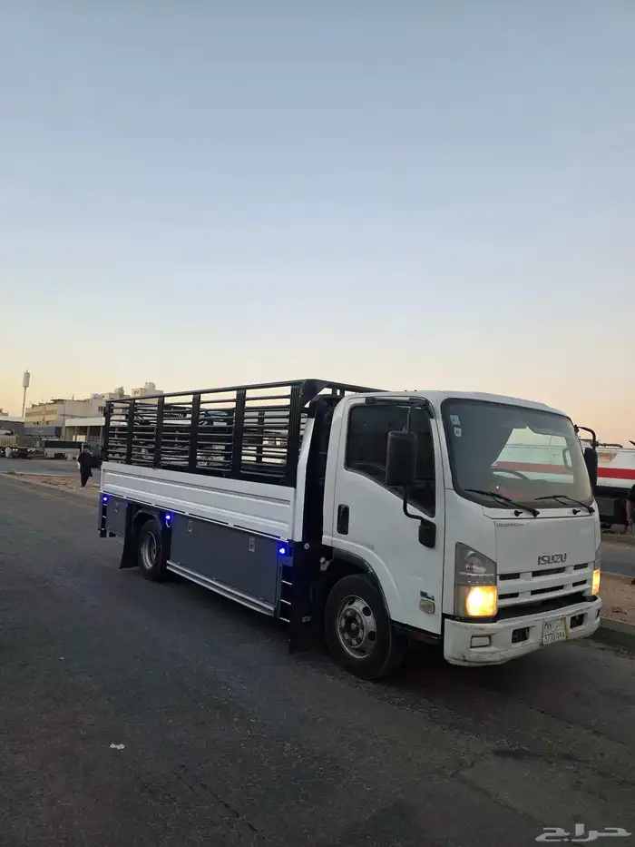 دينا ايسوزو للإيجار مديل 2018 2