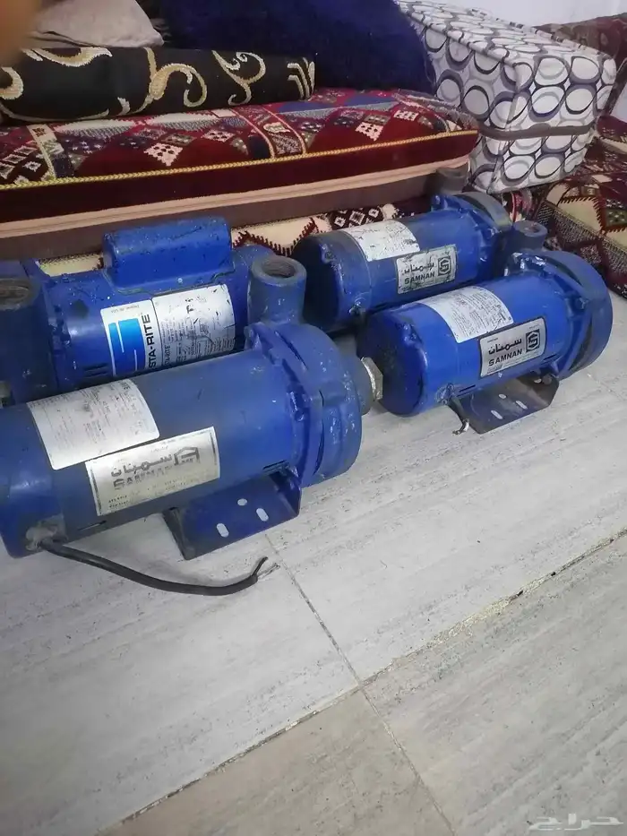 دينمو سمنان أمريكي 19