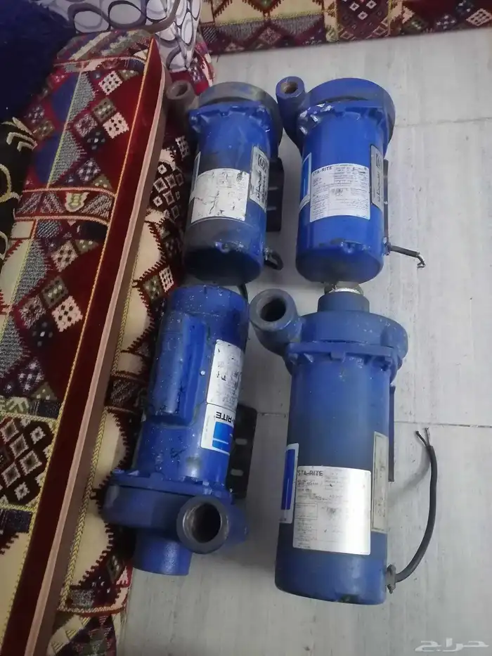 دينمو سمنان أمريكي 11