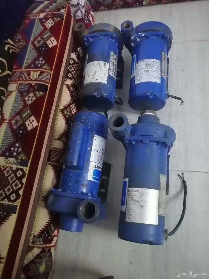 دينمو سمنان أمريكي 13