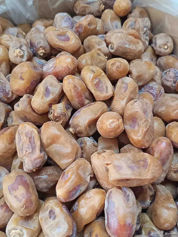 تمر خلاص للبيع في الخرج حبه فاخر 1
