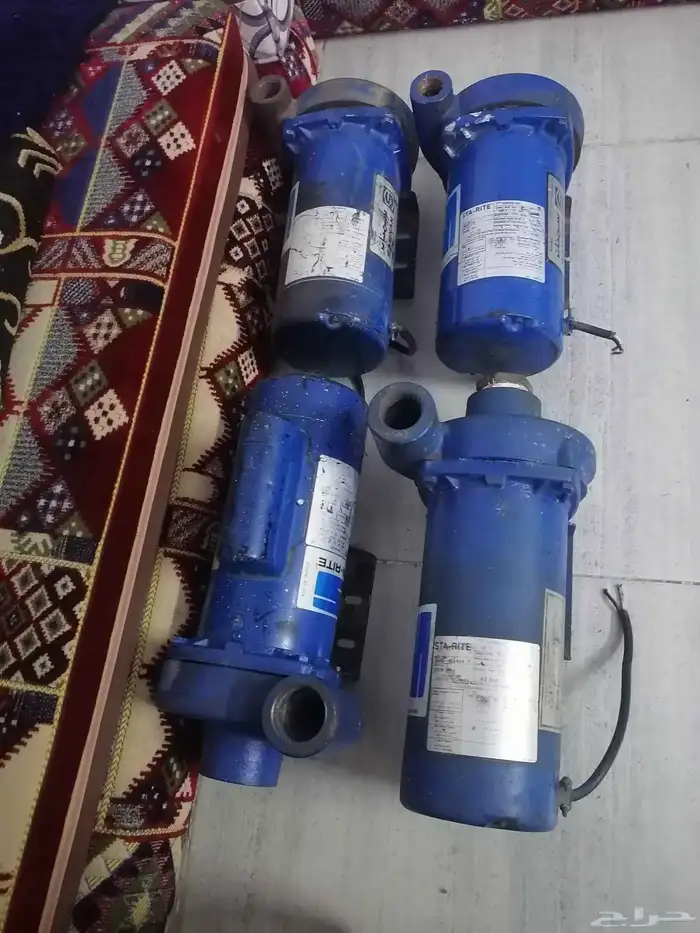 دينمو سمنان أمريكي 15