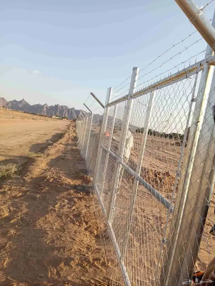 شبوك سياج حديد مجلفن 5