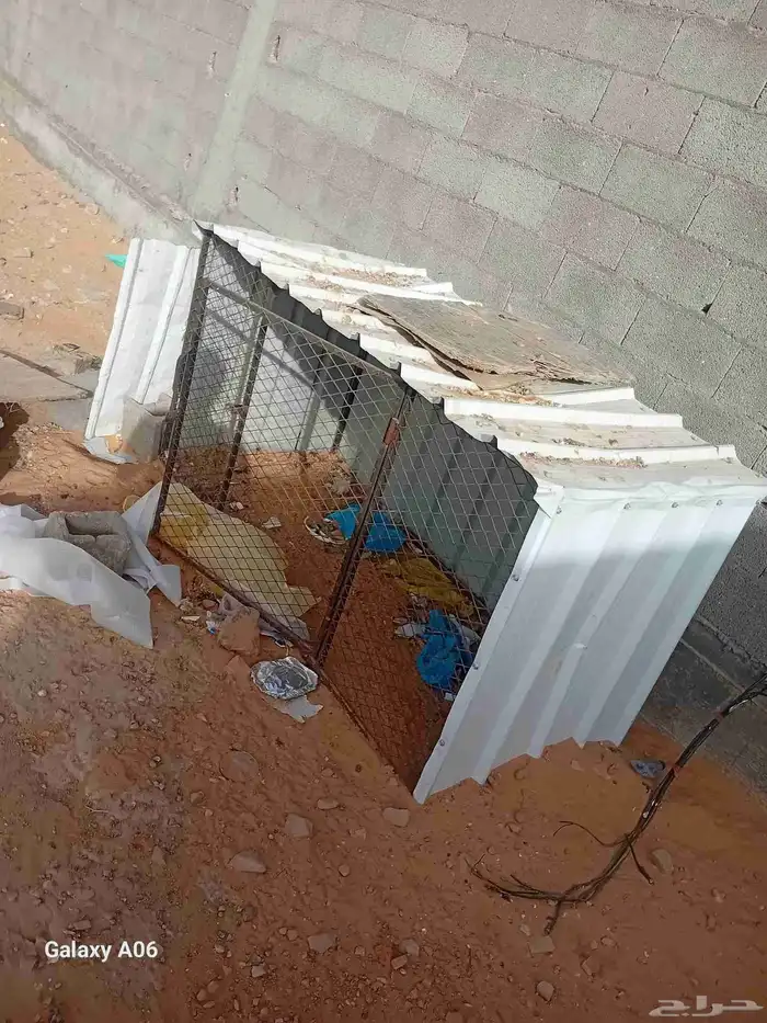 قفص دجاج او حمام فيه طعجات و بس يبيله تنظيف 0