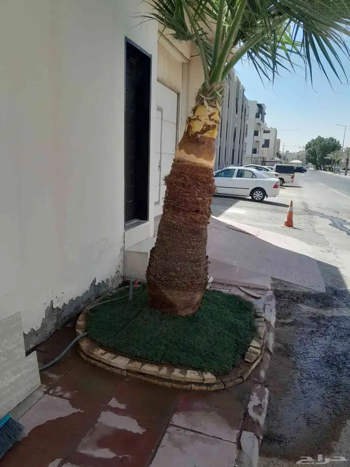 مشتل تنسيق حدائق 1