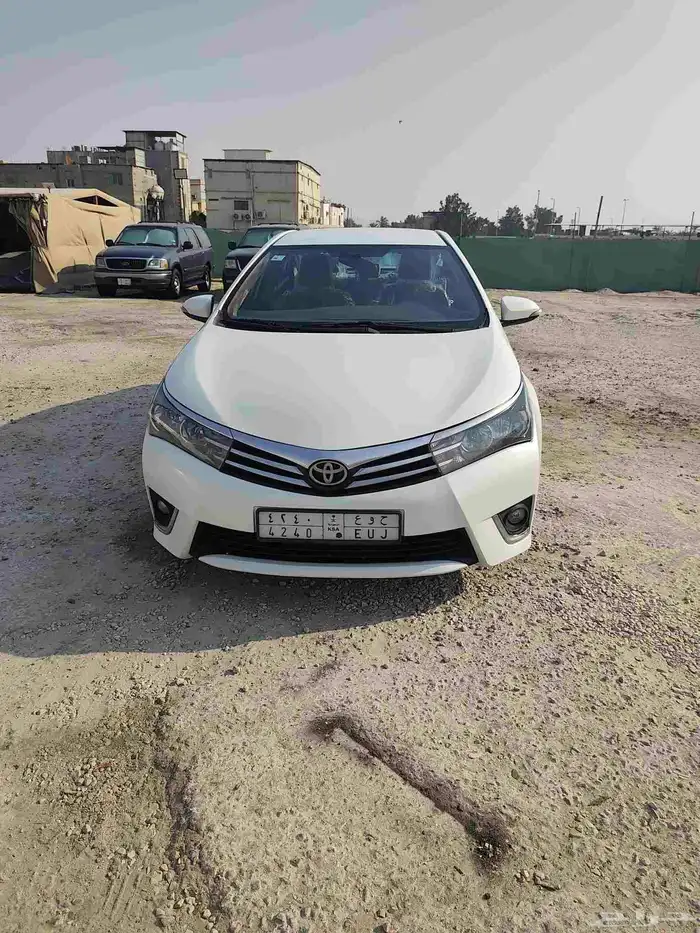 القطيف 5