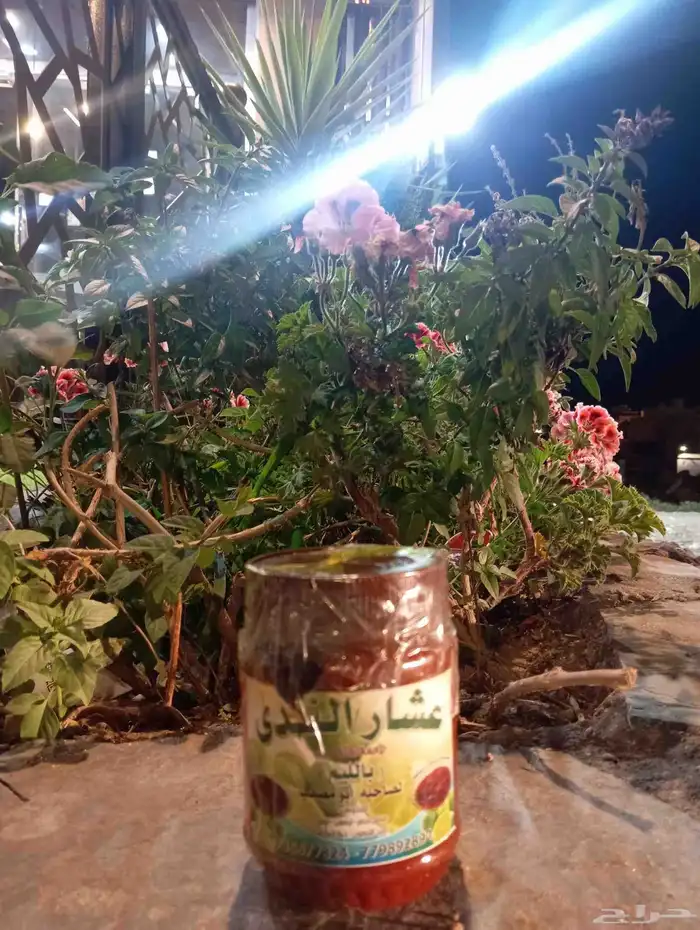 عشار عدني عشار بالليمون   عشار بالمنجا 1