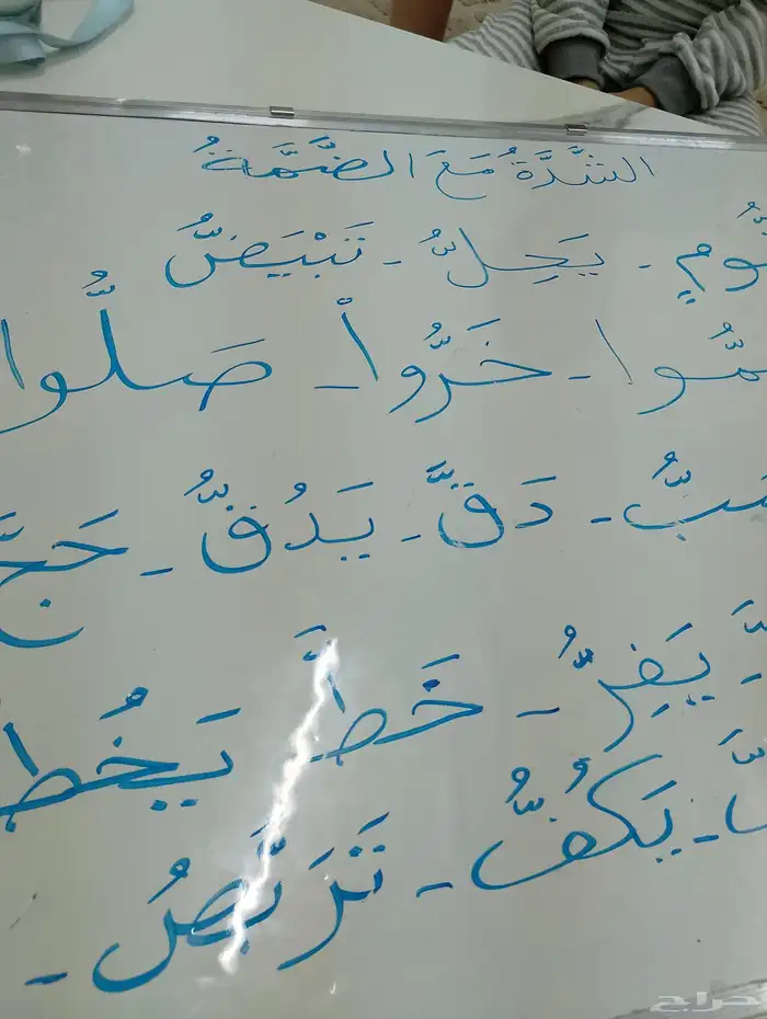 معلم متابعة وتأسيس وتحفيظ قرآن كريم 14