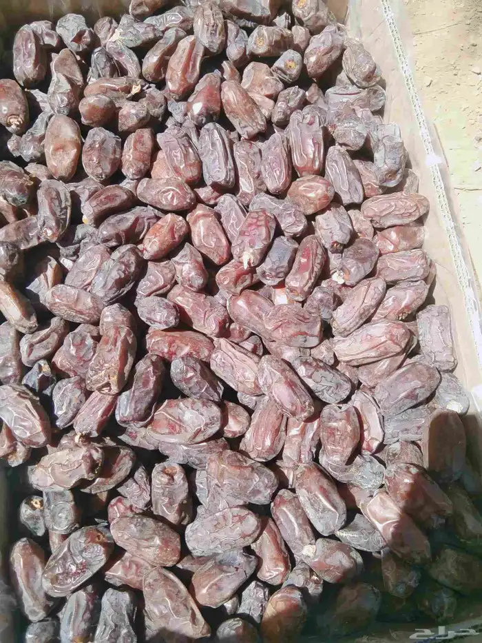 خضري الغاط 20طن 0
