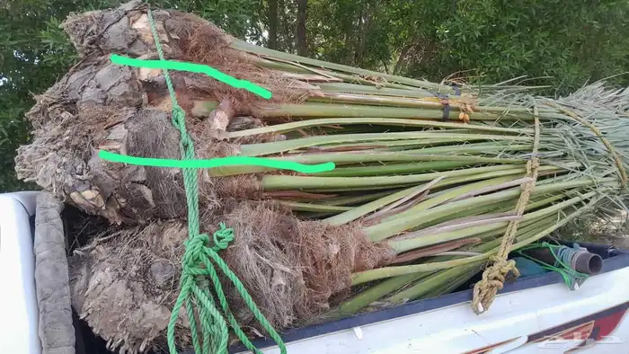 زبائن الكرام عندنا نهر متواجد في مكه الى عدد 26 فيها الاخلاص 0