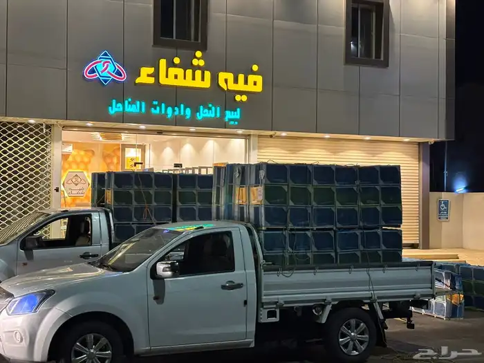 نحل مصري مرزوم 2