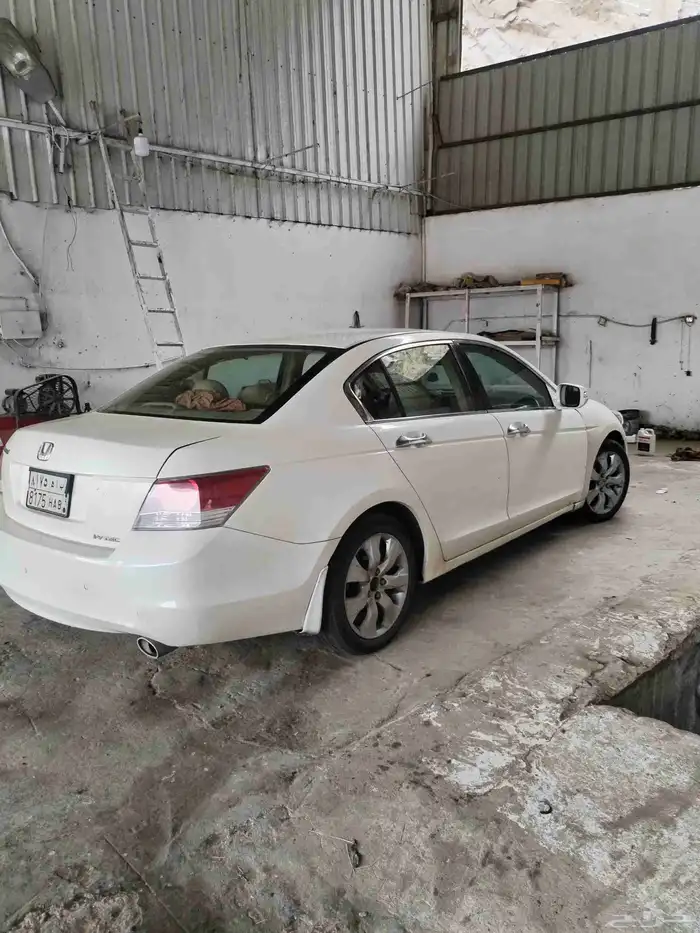 اكورد 2010 7