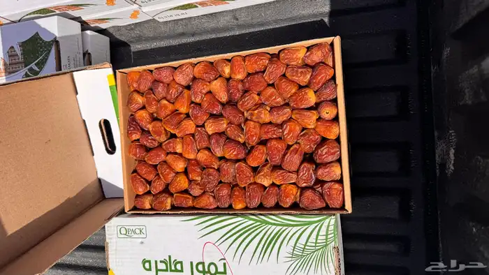 سكري القصيم مفتل و جلكسي 4