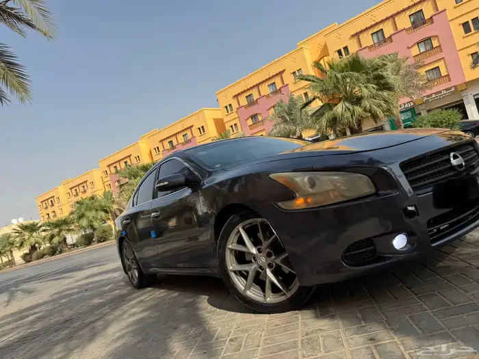 Nissan maxima 2011 17