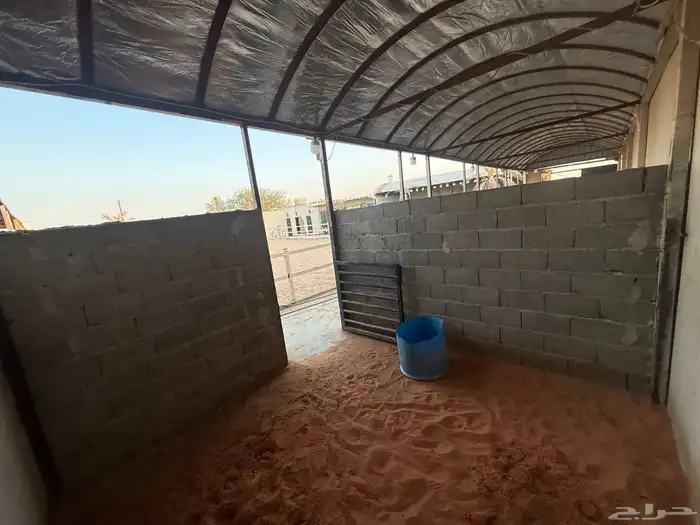 ايواء خيل  مفرق رماح 6
