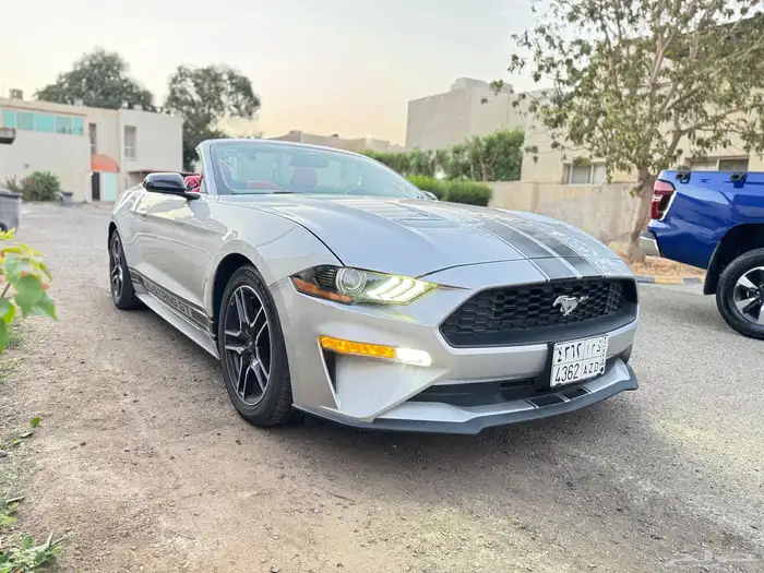 mustang 2019 2