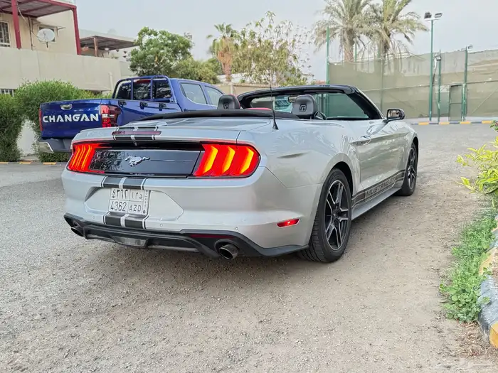 mustang 2019 3
