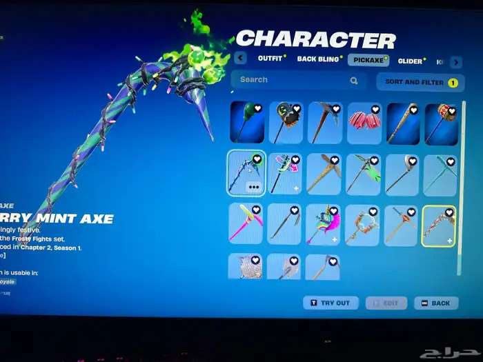 حساب فورت سيزون 2 وايدي سوني رباعي 2