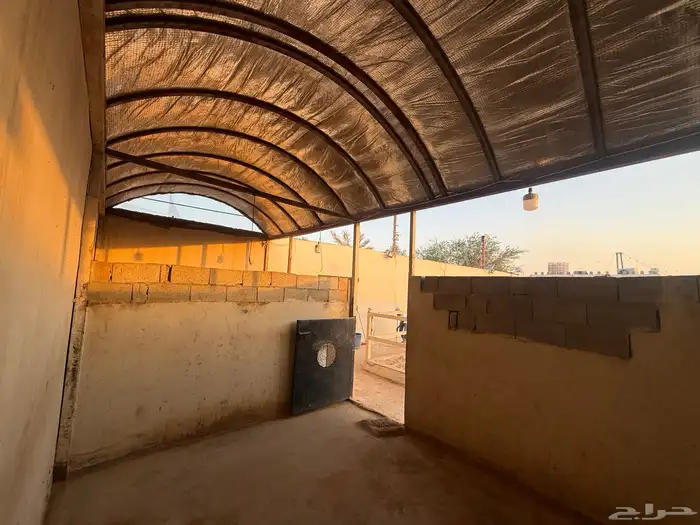 ايواء خيل  مفرق رماح 7
