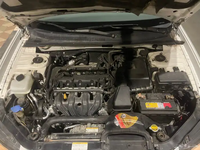 سناتاء 2006 10